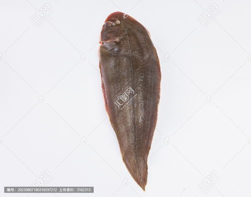 龙利鱼图片素材下载 食品餐饮素材下的中国菜系图片素材