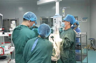 八旬娭毑三餐不定腹痛难忍，祸根竟是胆结石